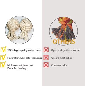Jouets à mâcher interactifs de luxe durables pour chiens, en chanvre naturel et coton, corde écologique, style amusant, pour l'hygiène dentaire et l'extérieur - Product Image 5