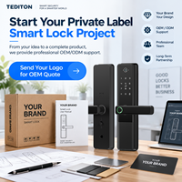 Fournisseur de serrures intelligentes à marque privée Tediton avec personnalisation du packaging et approvisionnement stable