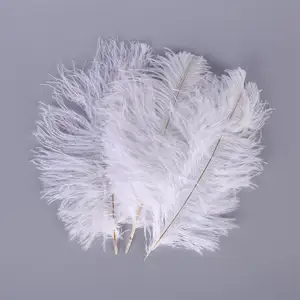 Grosir 15-80Cm Dekorasi Bulu Panggung Besar Rangkaian Bunga Pernikahan Bulu Burung Unta Putih