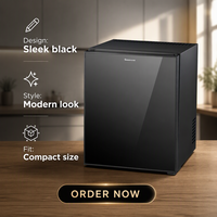 Réfrigérateur compact portable à porte en mousse sans givre de 30 litres en acier inoxydable, avec serrure, à faible consommation d'énergie et silencieux, pour vente en gros