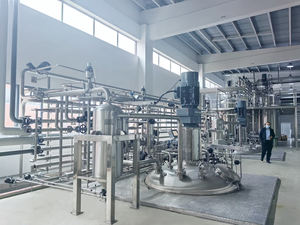 Biopharmaceutique GMP Acier Inoxydable Agitation Mécanique Amylase Transglutaminase Enzyme Bioréacteur Fermenteur BLBIO-500SJA - Product Image 3