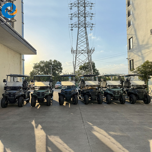 Carritos de Golf Eléctricos de 6 Plazas a Precio de Fábrica, Buggy Económico en Venta - Product Image 1