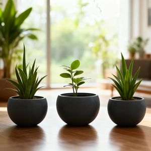 Vasi in Fibra di Argilla all'Ingrosso - Verniciatura Bianca per Orchidee e Piante Pothos da Interno - Product Image 6