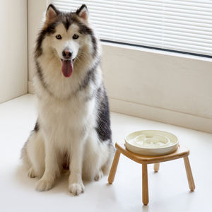 2025 baru Anti-Slip desain khusus keramik lambat sendok makan Pot anjing mangkuk anjing kucing lambat makan mangkuk keramik hewan peliharaan dengan dudukan - Product Image 4