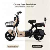 Vélos électriques au lithium-ion, vélos électriques deux places, vente directe du fabricant, véhicules électriques pour adultes pour les trajets quotidiens.
