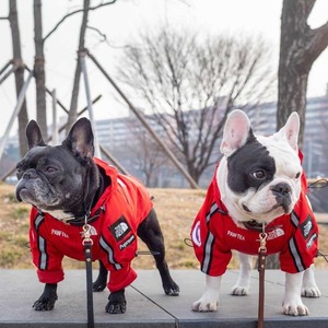 Fabricante al por mayor <span class=keywords><strong>Cool</strong></span> <span class=keywords><strong>Funny</strong></span> Dog Jacket Chaqueta de poliéster de alta calidad para mascotas para perros grandes Nuevo estilo para verano y primavera - Product Image 4