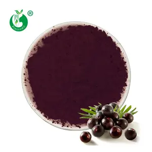 100% Natuur Acai Fruit Puur Gevriesdroogd Biologisch Acaibessenpoeder