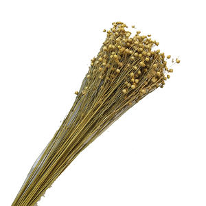 Vente en gros d'usine, arrangements floraux naturels séchés <span class=keywords><strong>de</strong></span> Zante avec du <span class=keywords><strong>lin</strong></span> pour la décoration <span class=keywords><strong>de</strong></span> la maison, mariage, fête des mères, Noël, bouquets - Product Image 1