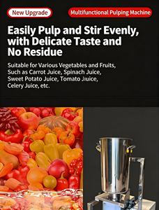 Extracteur de jus industriel pour la transformation des fruits, pour la fabrication de jus d'ananas, de pulpe de mangue et de purée de légumes - Product Image 2
