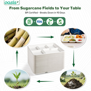 صواني غداء مدرسية صغيرة للأطفال مكونة من 5 أقسام، مصنوعة من الباجاس القابل للتحلل، صديقة للبيئة وخالية من مادة BPA وآمنة للاستخدام في الميكروويف - Product Image 3