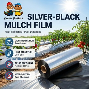 <span class=keywords><strong>Film</strong></span> de paillage agricole noir en PE résistant aux UV, prix usine, pour le contrôle <span class=keywords><strong>des</strong></span> adventices et une récolte plus abondante, provenant de Chine - Product Image 1