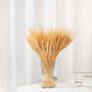 Oferta Especial: Ramilletes de Trigo Seco 100% Natural para Centros de Mesa, 50 Ramas por Ramillete, para Bodas Rústicas - Product Image 5