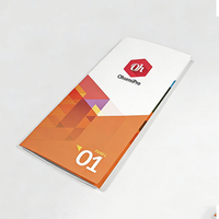 Impression en gros et impression de pages couleur, pages uniques, dépliants, personnalisation, brochures pliables A4 pour entreprises, prospectus
