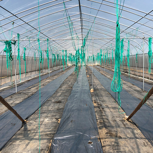 Ape da giardino 3 anni senza inquinamento ad alto rendimento Film per serra pellicola di conversione della luce agricola in plastica, pellicola per serra - Product Image 1