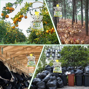 Hot Sales Nontoxic Insect Products Outdoor Hanging Pest Control Disposable Big Fruit <strong>Fly</strong> <strong>Trap</strong> Bag for Garden &amp; Home <strong>Fly</strong> Catcher