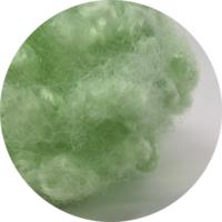 Fibre siliconée conjuguée creuse recyclée verte 7D pour le remplissage