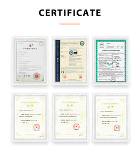 Macchina selezionatrice per la classificazione delle ostriche con trasportatore - Product Image 3