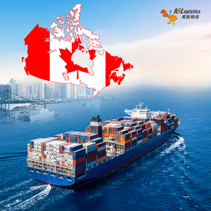 Servizio di Spedizione Aerea DDP dalla Cina agli USA e Canada, Consegna Porta a Porta - Product Image 6