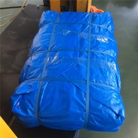 Fabricant Chinois de Bâche en PE, Bâche de Protection en PE Résistante aux Intempéries