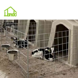 Nichoir pour veaux en PE écologique et ventilé avec enclos durables pour le repos des veaux dans les fermes laitières - Product Image 5