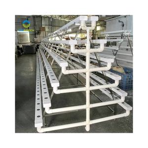 Hydroponic Greenhouse Shelves A-type PVC NFT Pipe Indoor Farm Leaf Vegetable Lettuce Growing <strong>Racks</strong> A Type Frame <strong>Vertical</strong> Nft - Product Image 3