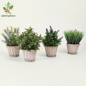 Vente en gros de plantes artificielles pot tissé buis arbustes verdure ciboulette lavande <span class=keywords><strong>romarin</strong></span> bonsaï pour table maison intérieur centre commercial décoration - Product Image 1