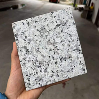 Dalles et carreaux en granit blanc Bala, revêtement de sol et plan de travail modernes en pierre polie avec garantie de 5 ans pour les projets