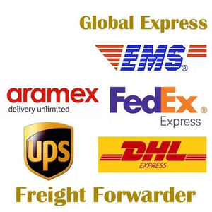 最安値のDHL UPS戸別配送DDP配送業者 中国からナイジェリア、フィリピン、インド、パキスタン、インドネシア、南アフリカ、アメリカ、カナダへ - Product Image 6