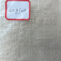 Couverture de serre tissée transparente résistante aux déchirures pour serre de fleurs et de légumes, film plastique durable