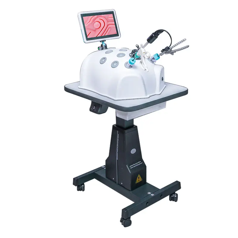 Laparoskopik eğitim kutusu endoskopi eğitim simülatörü eğitmen kutusu simuladores laparoscopicos laprocopy simülatörü