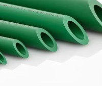 Vente directe usine : Tuyau de plomberie PPR haute pression durable avec moulage pour l'approvisionnement en eau agricole