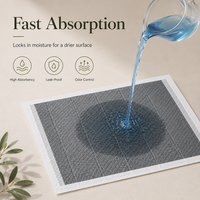 Tapis d'apprentissage jetables en charbon de bambou pour chiots, matériau PE, super absorbants, anti-odeurs, imperméables, pour animaux de compagnie, en vrac, OEM