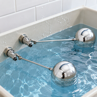 Vanne à flotteur réglable en acier inoxydable de 1/2 pouces pour réservoir d'eau équipement d'élevage boule de flotteur contrôle automatique du niveau d'eau