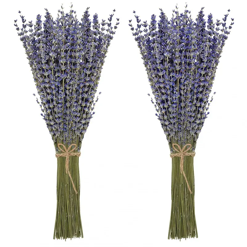 Blumen arrangement Getrocknete Lavendel bündel natürliche getrocknete Lavendel blumen für die Inneneinrichtung
