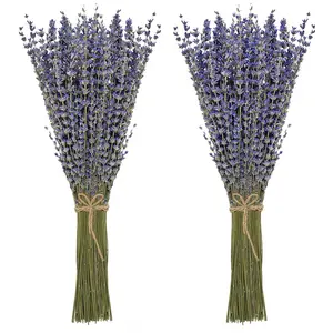 Flower Arrangement Dried Lavender Bundles 100% Natural Dried Lavender Flowers For Home Decoration