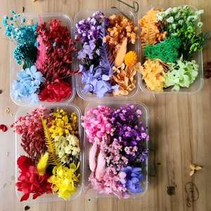 Kit de fleurs séchées et stabilisées mélangées en gros <span class=keywords><strong>pour</strong></span> moules en résine époxy, remplissage de pots à bougies, décoration artisanale DIY, cartes d'invitation de mariage - Product Image 1
