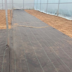 Kiểm soát cỏ dại vải PE lớp phủ nhự<span class=keywords><strong>a</strong></span> phim 70g/m² PP dệt màng cho nông nghiệp Cỏ Dại rào cản vải - Product Image 3