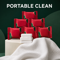 Serviettes Comprimées Jetables Portables Mini Format – Lingettes Magiques Douces pour le Visage, Idéales pour les Voyages, Hôtels et Camping