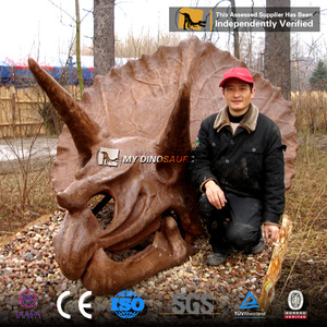 Mi Dino Dinopark tamaño de vida dinosaurio exposición esqueleto Triceratops de mis dinosaurios - Product Image 6