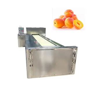 Производительность продукта-оптимальная машина для мытья фруктов и удаления косточек