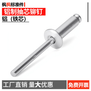 หมุดย้ำอลูมิเนียมหัวกลมพร้อมแหวนรอง เกรด B สำหรับอุตสาหกรรมก่อสร้าง - Product Image 5