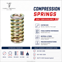 Ressort de compression en acier inoxydable 304 de haute qualité TianFang, petit ressort hélicoïdal pour usage en quincaillerie/automobile, ressort hélicoïdal