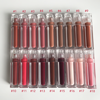 Gloss à lèvres teinté pour maquillage des lèvres, marque privée, fini brillant, 18 nuances de couleurs, rouge à lèvres, waterproof, gloss