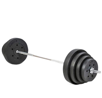 Disques de musculation écologiques et durables en gros, trou standard de 25 mm, multi-kilogrammes, pour usage domestique et commercial