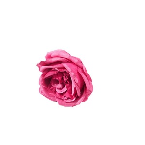 Bouquet de roses artificielles en soie Austin pour décoration de mariage, fleurs en plastique pour art floral, décoration de salon - Product Image 5