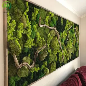 Real moss wall panel Preserved Moss handmade panel customized moss panel for artistic indoor decoration