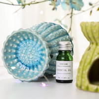 Brûleur à huile pour bougie chauffe-plat en céramique de style cactus attrayant, vente en gros créative, pour une utilisation intérieure