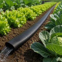 Manguera Plana Flexible de PE para Entrega al por Mayor con Estructura Adhesiva Central, Cinta Plana de Agua para Riego Agrícola