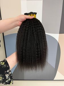 <span class=keywords><strong>Alano</strong></span> Kinky Straight Keratin Tips Sin procesar Raw Remy Cabello humano Trenzado Micro Link I Tip Extensión de cabello Cabello brasileño - Product Image 2