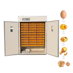 Incubadora totalmente automática 2640 para incubadora de aves de alta qualidade, melhor preço e alta qualidade para venda